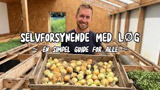 BLIV SELVFORSYNENDE MED LØG - (sætning af løg, pasning, høst samt opbevaring)