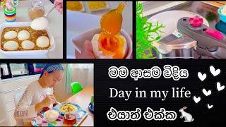 තවත් සුන්දර දවසක් |  Day in my life |  Life in japan 