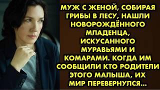 Чтобы скрыть от мужа измену и её последствия, женщина родила в лесу и бросила ребёнка. Искусанного