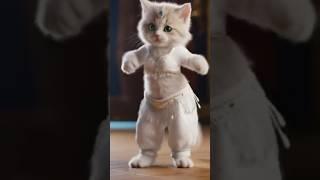 Viral Alibi Dance! Belly Dance + Cat Imitates!