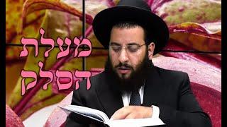 סלק - מעלות סגולות וטיפים |מועיל לחרדות ולמעיים | מדור בריאות | הרב רביד נגר