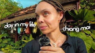 Chiang Mai, Thailand: it's a productive day in my life vlog!