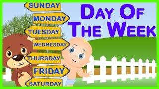 Days of the Week Song || 7 Days of the Week || Children's Songs