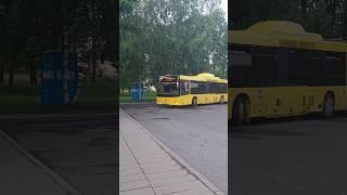 МАЗ-215Респект водителю! #maz #automobile #liaz