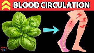 TOP 7 Herbs To Say GoodBye Poor Blood Circulation In Legs | Vitality Solutions