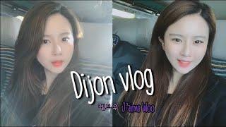 프랑스여행 Dijon vlog 디종여행 휴무날 급 당일치기 여행