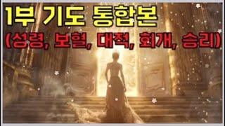 🩸기도 통합본 / 성령, 보혈, 대적, 회개, 승리 / 읽는 기도책 저자, 무명의 목사님의 사모님