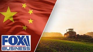 Lawmaker sounds alarm over 'devastating' Chinese threat to US