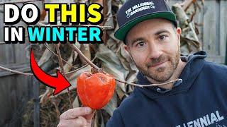 4 Winter Garden Tasks To Do NOW: Don't Wait For Spring!