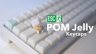 POM Jelly Keycaps by Escape Keyboard | Keycaps Comparison & Typing Sounds