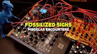 Fossilized Sights  (Modular Encounters)