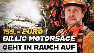 ‍️ Nicht schon wieder!!! - Billig-4-Takt Motorsägen Test