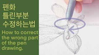 Botanical Art Basics_How to fix the wrong part of the pen drawing