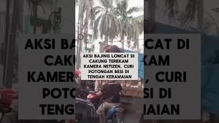 Aksi Bajilo Terekam Kamera Netizen