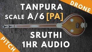 Tanpura Sruthi - Drone - A Scale or 6 Kattai - Pa (Panchamam/ Pancham) - 220Hz