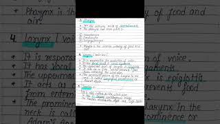 Human Respiratory System Short Notes, Pharynx ,Trachea ,Lungs ,  #shorts #youtubeshorts #status 