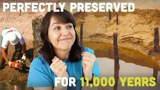 They Accidentally Found an 11,000-Year-Old Forest. Twice.
