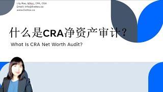 什么是净资产审计?  What is net worth audit? (A1119)