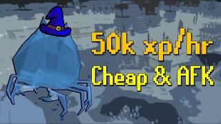 Magic has a new training method that's cheap and AFK! (OSRS Frost crab guide)