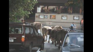 Engelberg 1973 archive footage