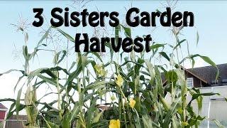 3 Sisters Harvest