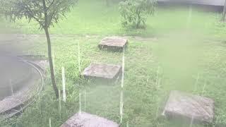 RAIN ON FLOOR | BD360 TV