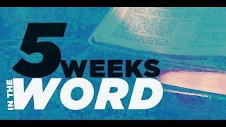 5 Weeks In The Word // How To Interpret The Bible