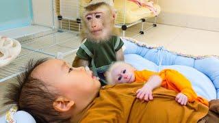 Pupu monkey quietly looked at Nguyen caring for baby monkey Poki