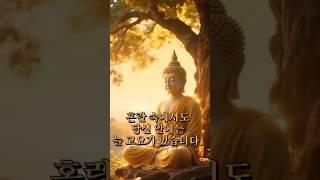 《삶이 힘겨울 때 마음을 지키는 방법》 마음의 평화를 되찾는 연습 | 마음이 괴로울 때 #마음챙김 #부처님말씀 #명상 #내려놓음 #마음공부 #부처님명언