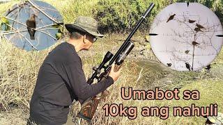 Airgun Bird Hunting Ph