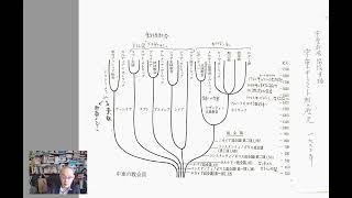 キリスト教諸教派とローマ・カトリック教会