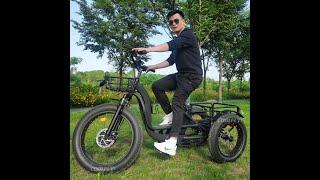 Top 3  Best Electric Tricycle 2024 | 3 Wheel E-Bike Trike Cargo ebike 48V 1000W 24AH (Samsung)