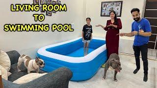 Living Room to Swimming Pool | Funny Dog Video