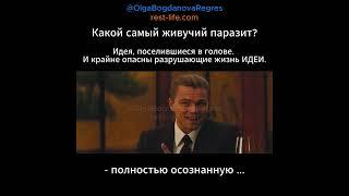 А какими Вы заражены идеями в своей голове?