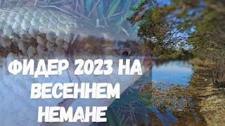 ФИДЕР 2023. Открытие сезона на Реке Неман. РЫБАЛКА С НОЧЁВКОЙ