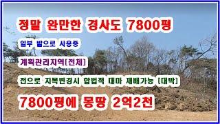 7800평 전체가 계획관리지역**약2천평 평지 밭으로 사용중  지목 전으로 변경시 합법적 대마 재배가능 [대박]  놓치지 말아야 할 땅  착한매도