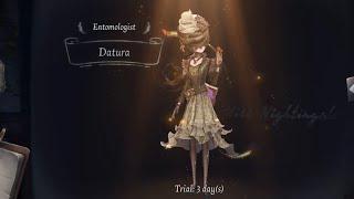 Entomologist "Datura" + "Encased Butterfly" Gameplay || IDV || QM