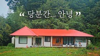 가을비 내리는 시골집 ️ 깻잎주먹밥과 부추새우전  막걸리한잔 / 5도2촌 시골살이 korea countryside life