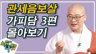 광우스님 소나무 스페셜!  관세음보살 가피담  3편 몰아보기