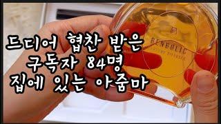 드디어 협찬 받은 집에 있는아줌마, 미니멀라이프, 식집사, 청소정리