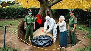 Phát Hiện Mùi Hôi Nồng Nặc Từ Gốc Cây Sau Nhà, Khi Đào Lên, Thứ Lộ Ra Khiến Mọi Người Sốc Nặng