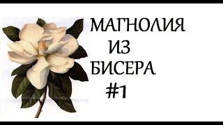 Бисероплетение (Магнолия 1ч.) Мастер-Класс