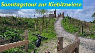 Sonntagstour zur Kiebitzwiese