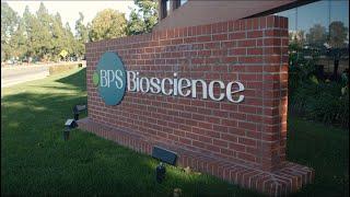 BPS Bioscience – Innovating the Future of Drug Discovery