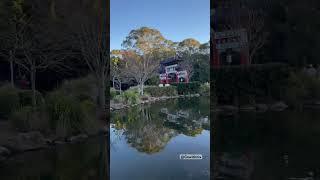 #sydney #greatersydney #travelvlog #australia #reserve #lookout #environment #nature #park #shorts