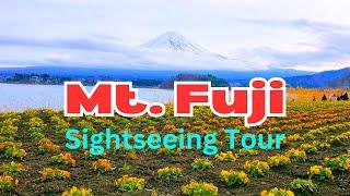 Mount Fuji View from Oishi Park - Kawaguchiko Red Line Sightseeing Bus