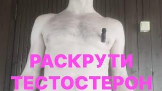 КАК ПОВЫСИТЬ  ТЕСТОСТЕРОН (Денис Педант)