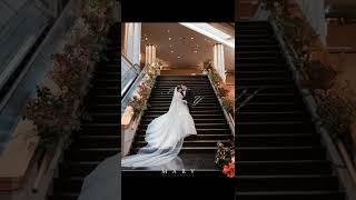 마리스튜디오 신라호텔 본식 스냅 웨딩 스냅은 마리 하세요 