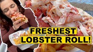 Best Lobster Roll in Maine | Where to Eat in Maine