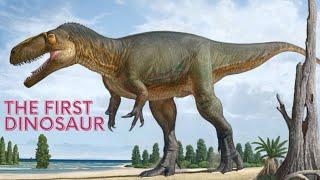 Megalosaurus | The First Dinosaur to be Discovered